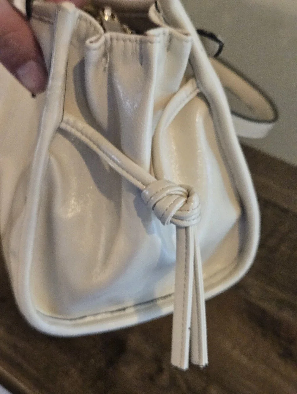 ALDO Lazarosx Bag